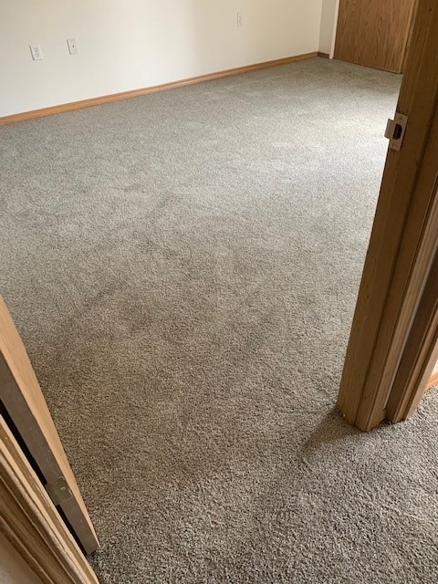 Rental Property Carpet